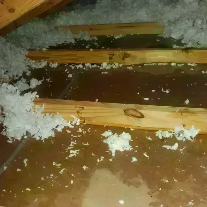 Attic Water Damage in Multnomah County, OR