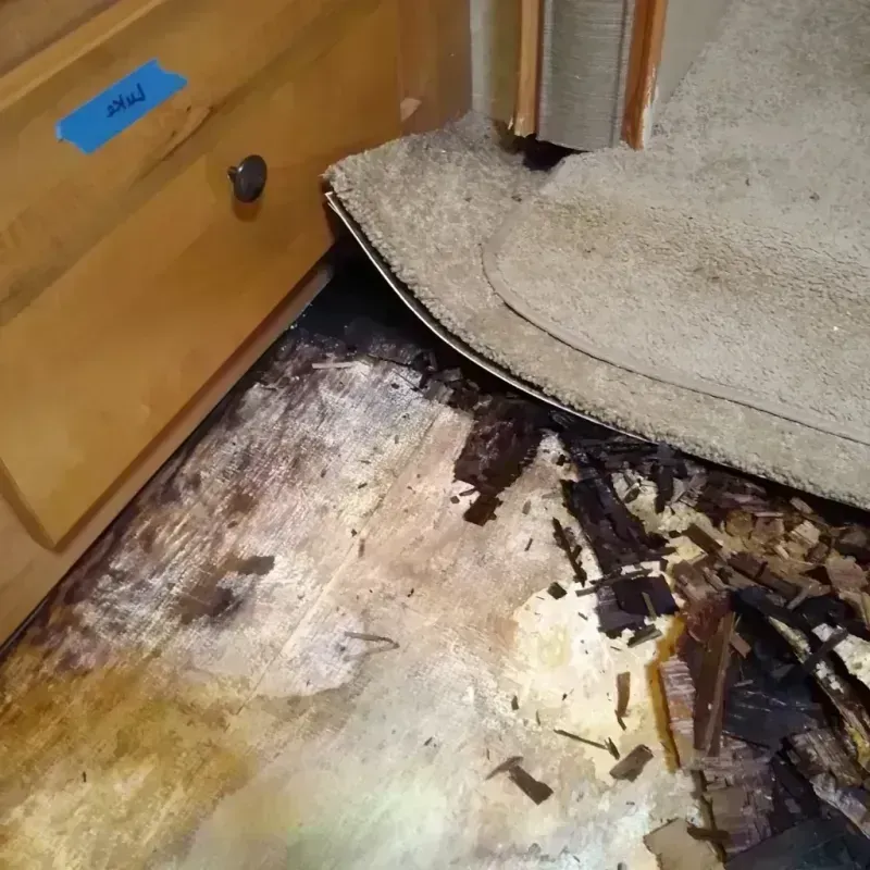 Wood Floor Water Damage in Multnomah County, OR